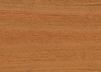 Jatoba