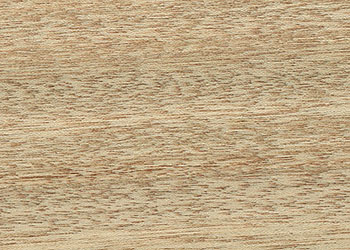 Mahogany, Philippine