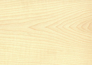 Maple - White