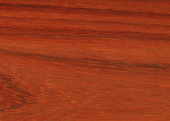 Padauk