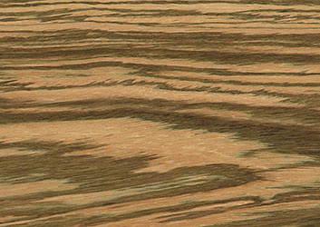 Zebrawood